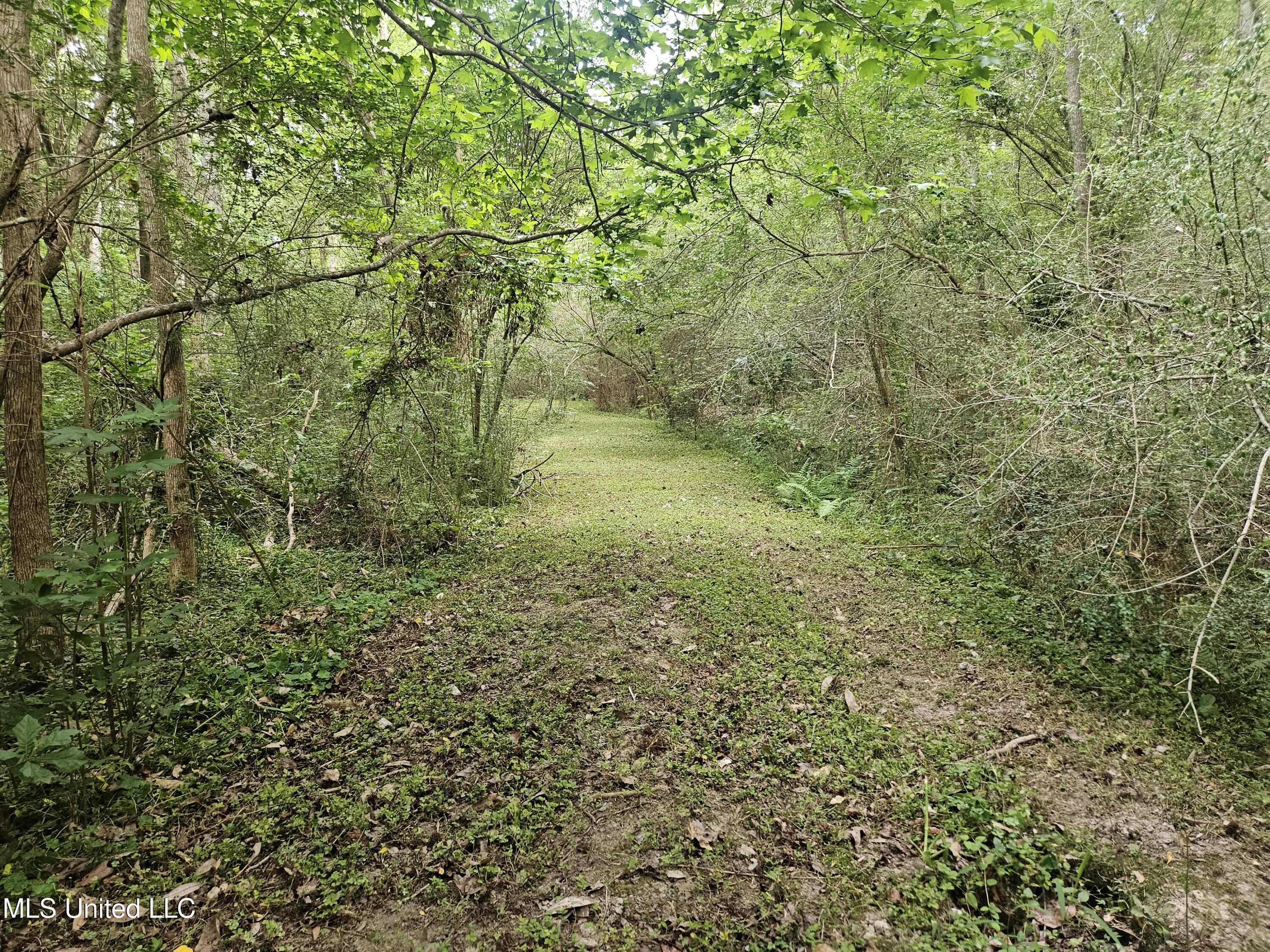 6067 Daugherty Road Long Beach, MS 39560 - Photo 54 of 59 Nature Trails