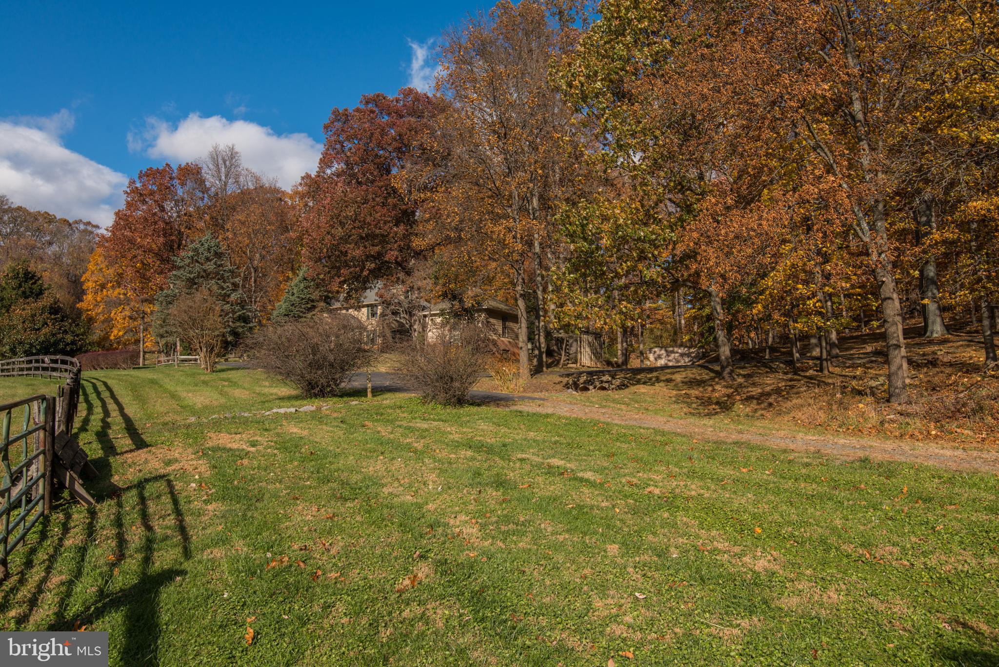 40425 Beechnut Road Leesburg, VA 20175 - Photo 66 of 68 Wonderful Land for horses