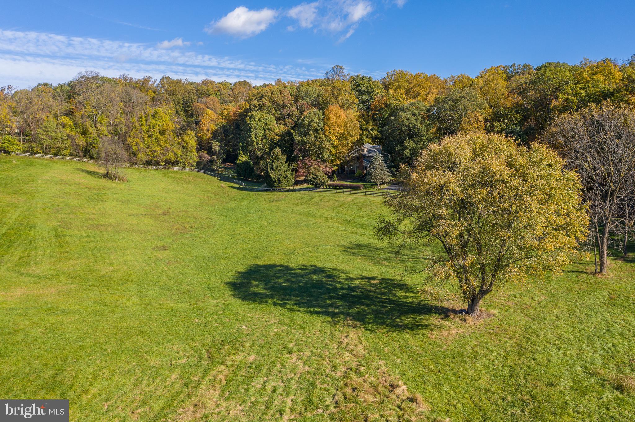 40425 Beechnut Road Leesburg, VA 20175 - Photo 8 of 68 Gorgeous pastures