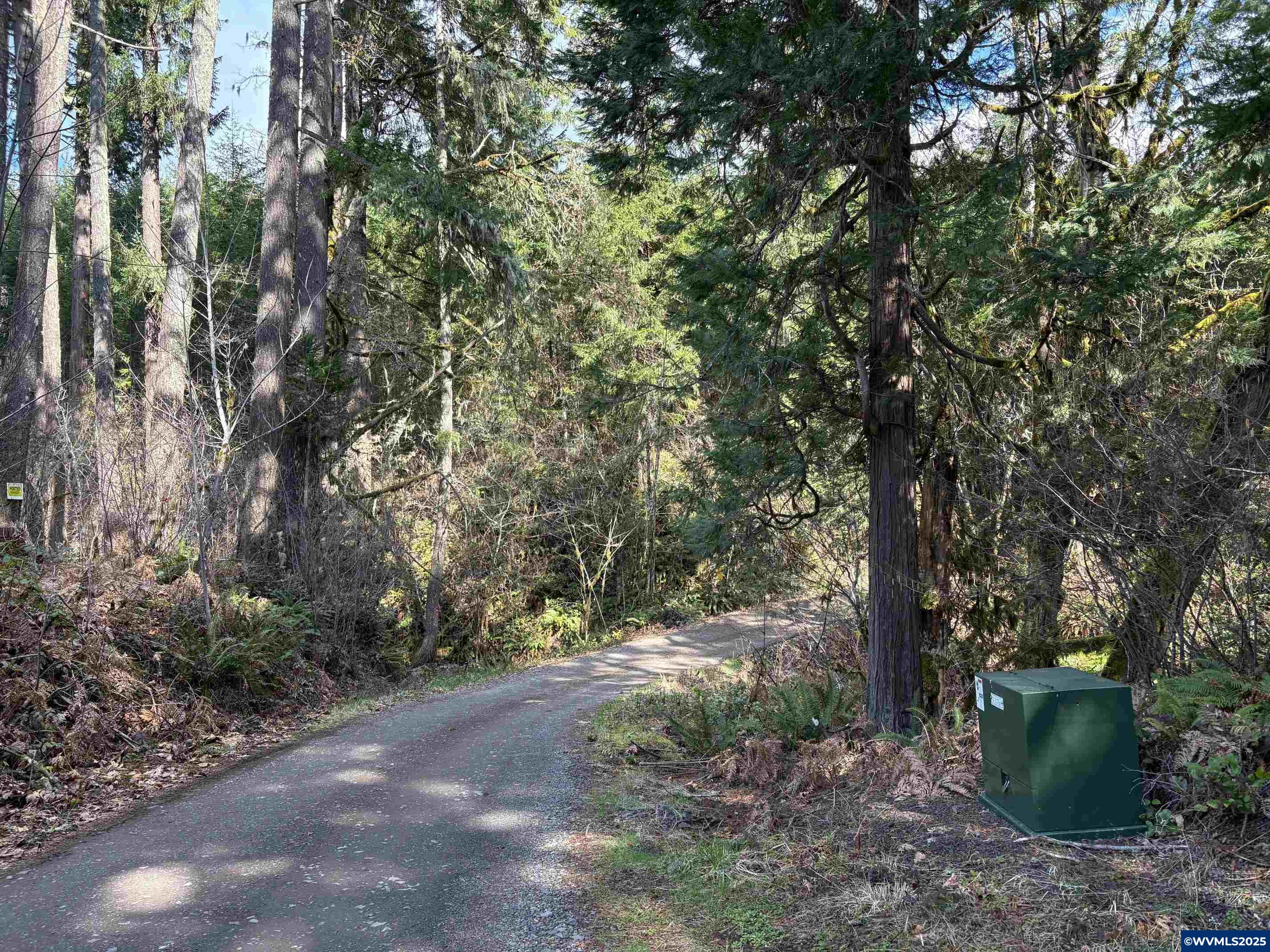 0 Boiler Creek Road Springfield, OR 97478 - Photo 25 of 26