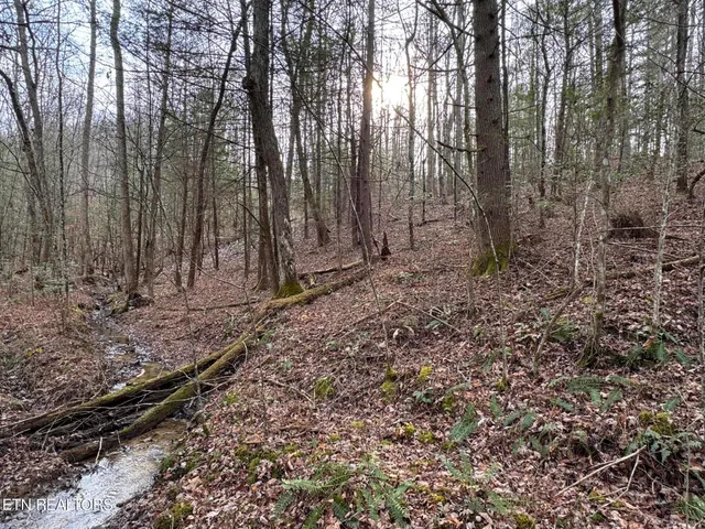 $85,000 | Hollow Lane, Oneida, TN 37841