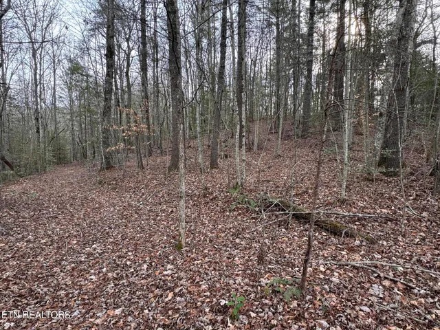 $85,000 | Hollow Lane, Oneida, TN 37841