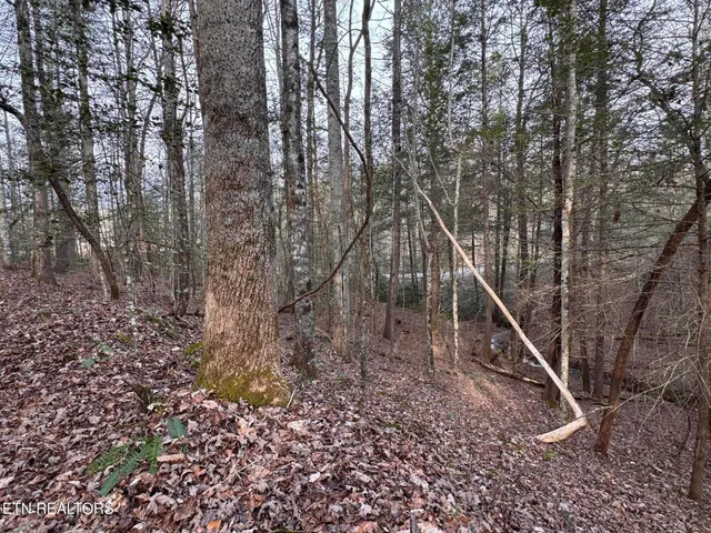 $85,000 | Hollow Lane, Oneida, TN 37841