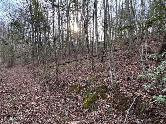 $85,000 | Hollow Lane, Oneida, TN 37841
