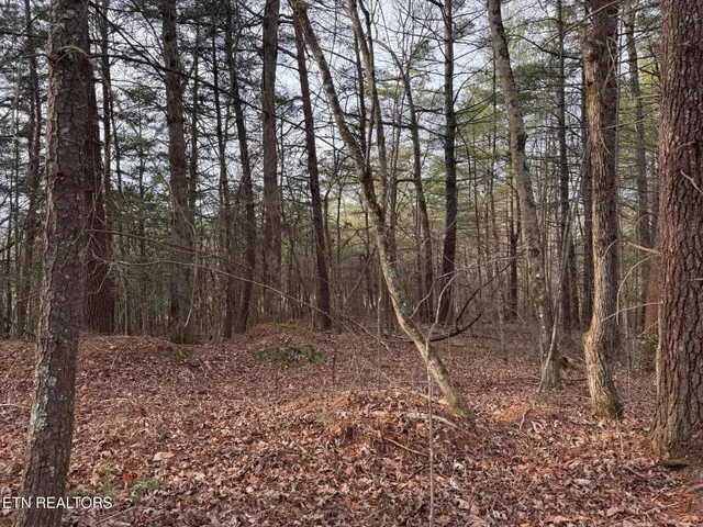 $85,000 | Hollow Lane, Oneida, TN 37841