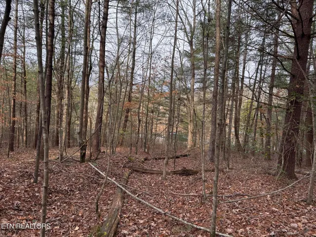 $85,000 | Hollow Lane, Oneida, TN 37841