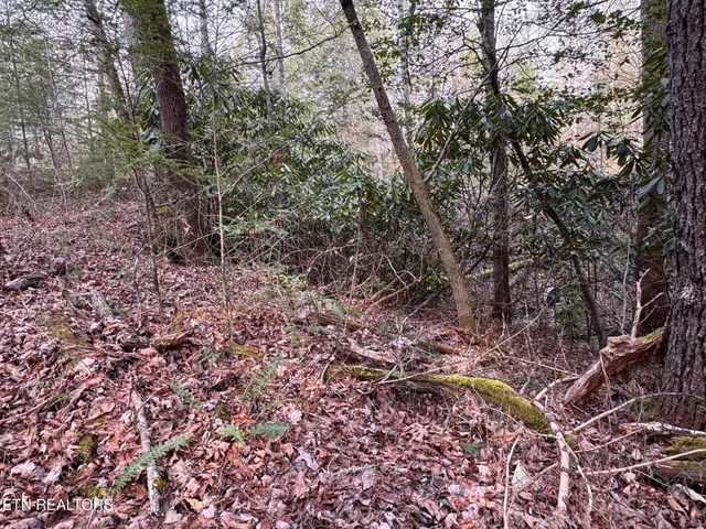 $85,000 | Hollow Lane, Oneida, TN 37841