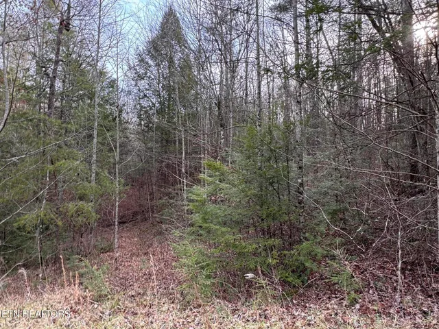$85,000 | Hollow Lane, Oneida, TN 37841
