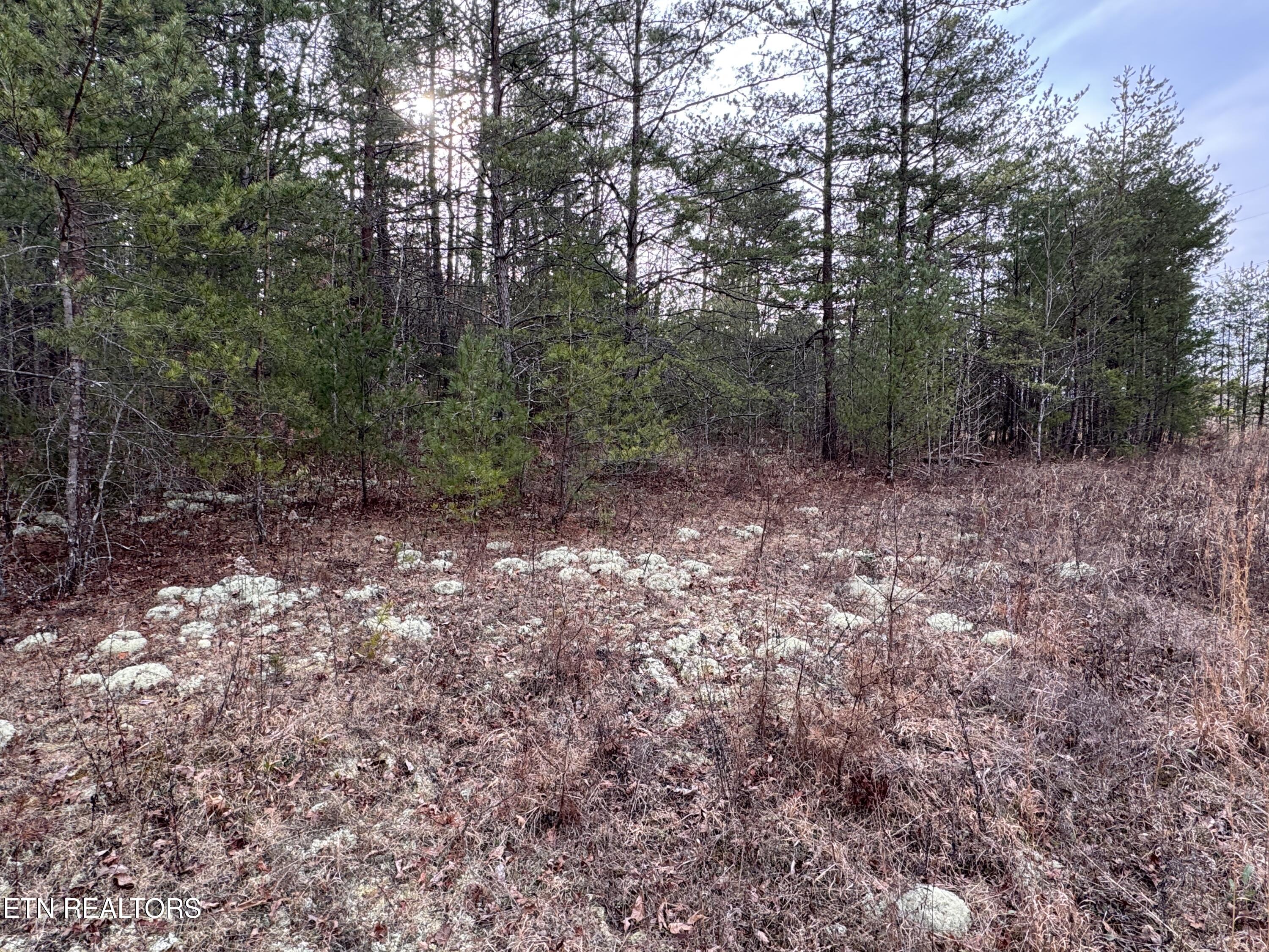 Hollow Lane Oneida, TN 37841 - Photo 25 of 30 IMG_7090