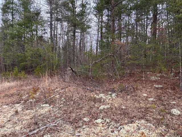 $85,000 | Hollow Lane, Oneida, TN 37841