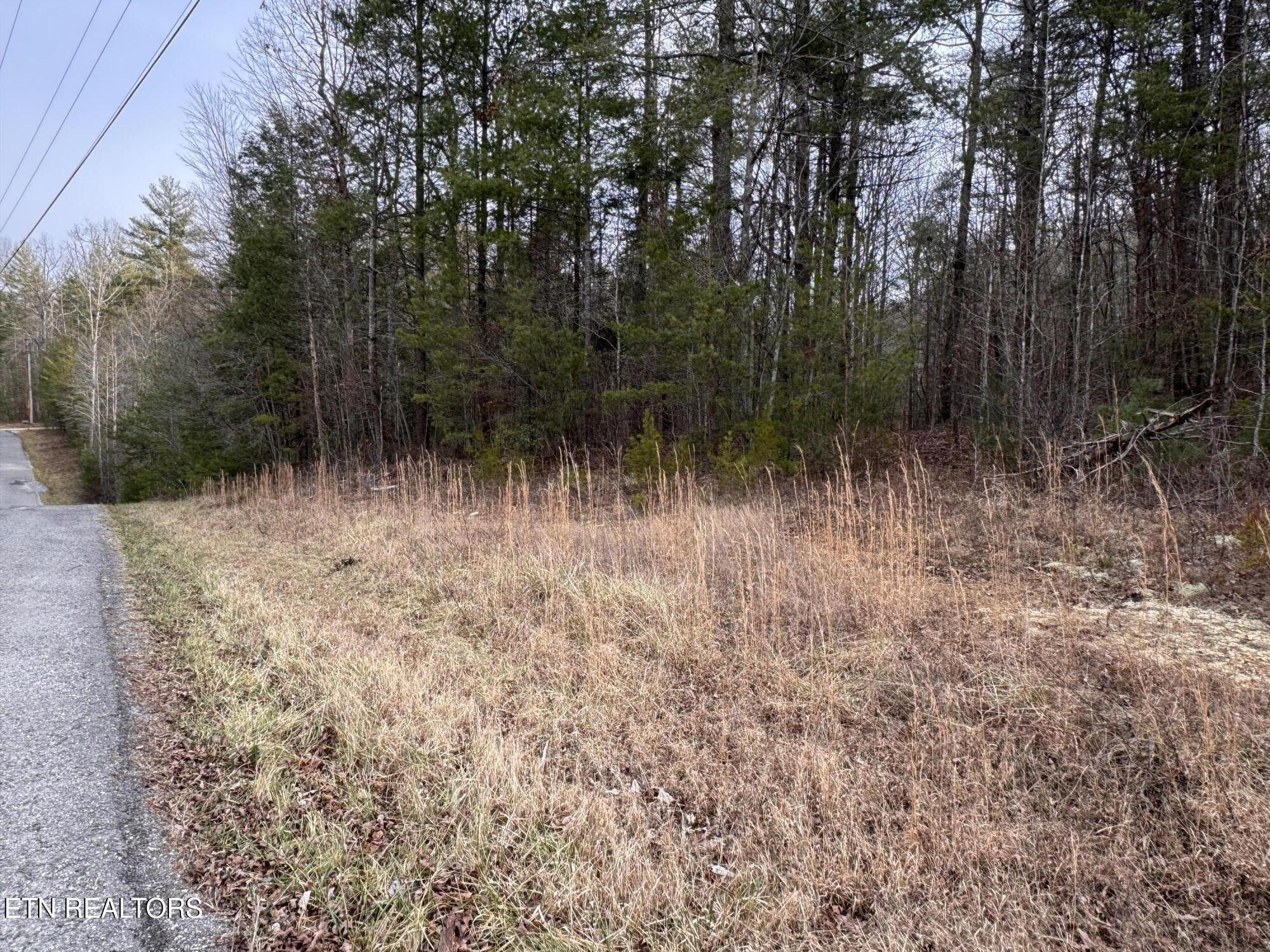 Hollow Lane Oneida, TN 37841 - Photo 27 of 30 IMG_7092