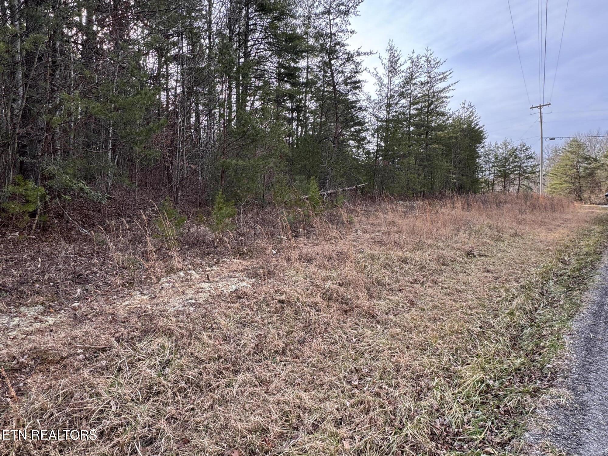 Hollow Lane Oneida, TN 37841 - Photo 29 of 30 IMG_7089