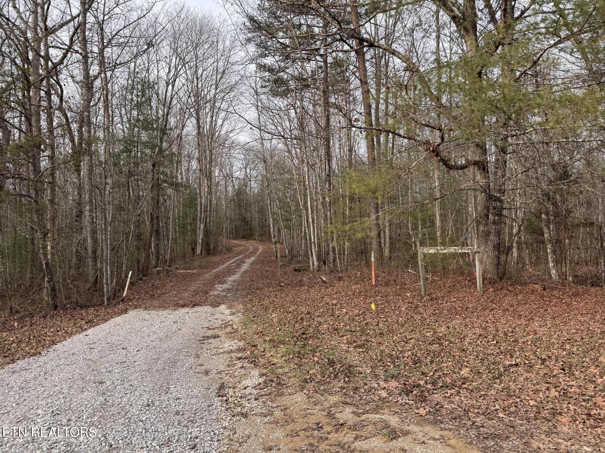 Hollow Lane Oneida, TN 37841 - Photo 30 of 30 IMG_7093