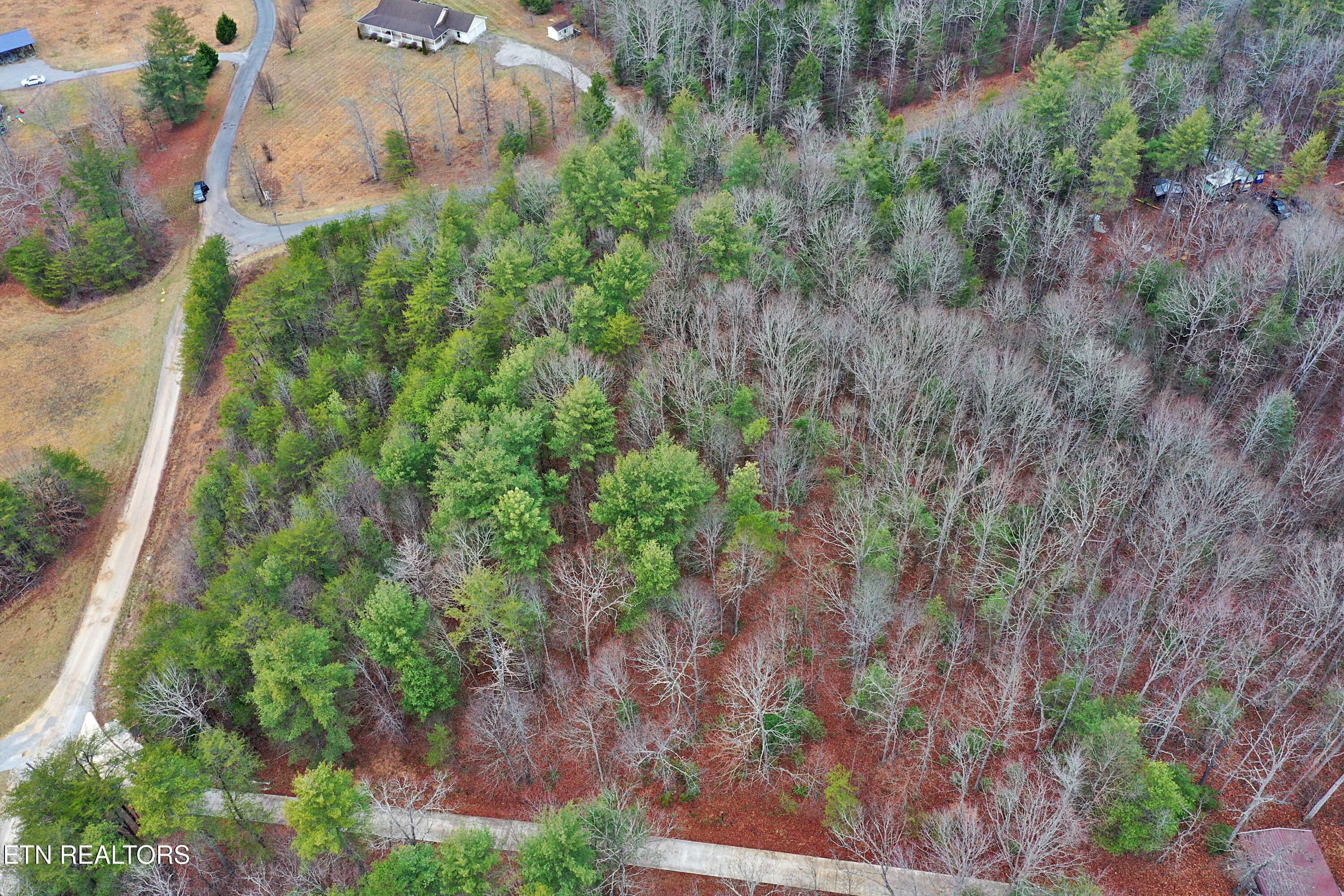 Hollow Lane Oneida, TN 37841 - Photo 4 of 30 drone1