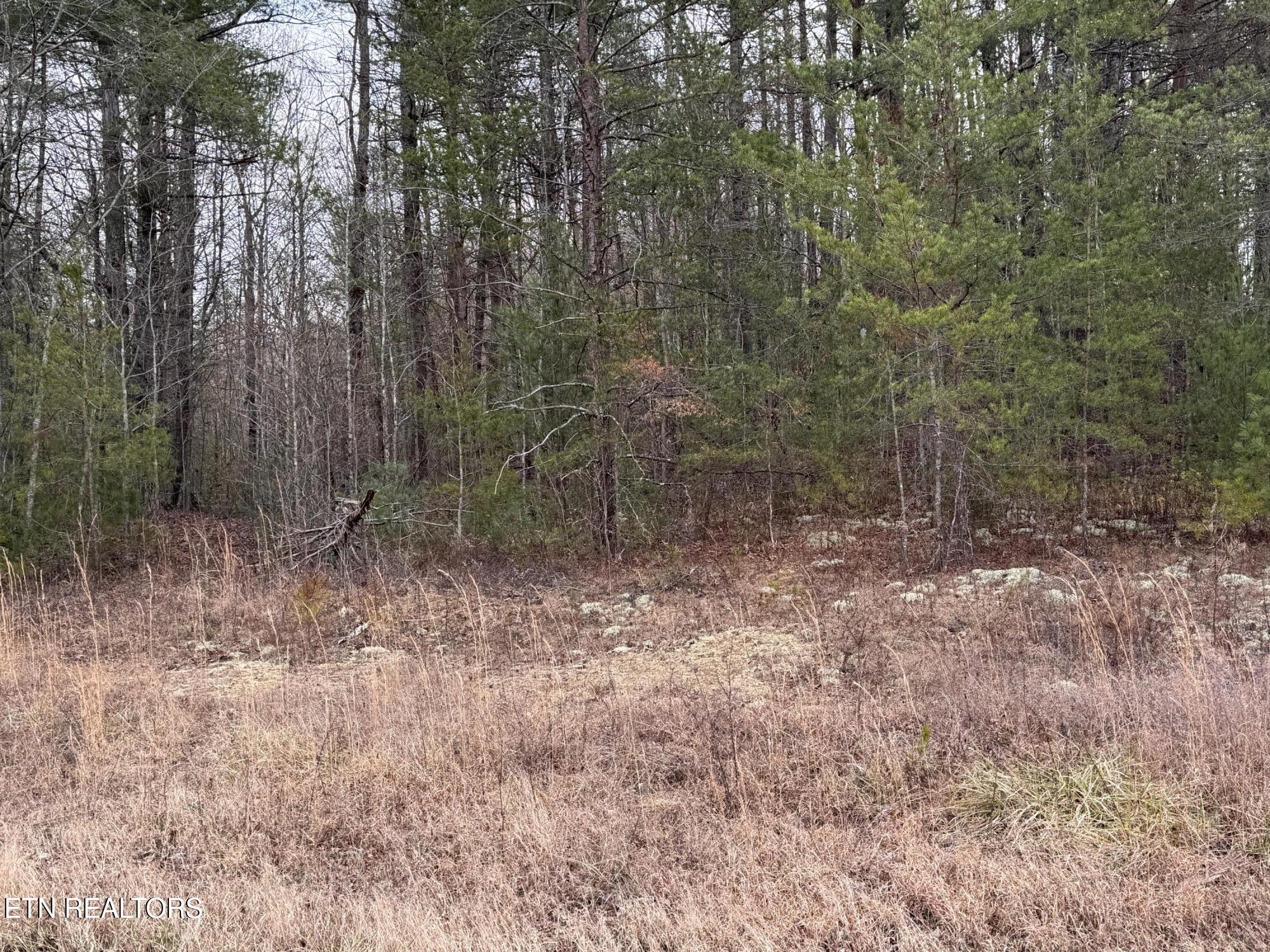 Hollow Lane Oneida, TN 37841 - Photo 8 of 30 IMG_7070