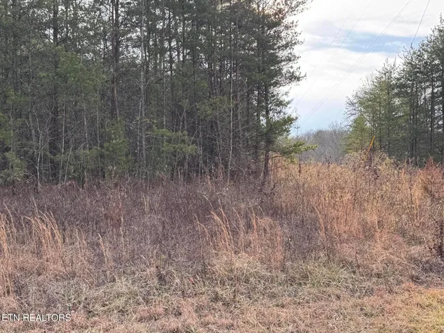 $85,000 | Hollow Lane, Oneida, TN 37841