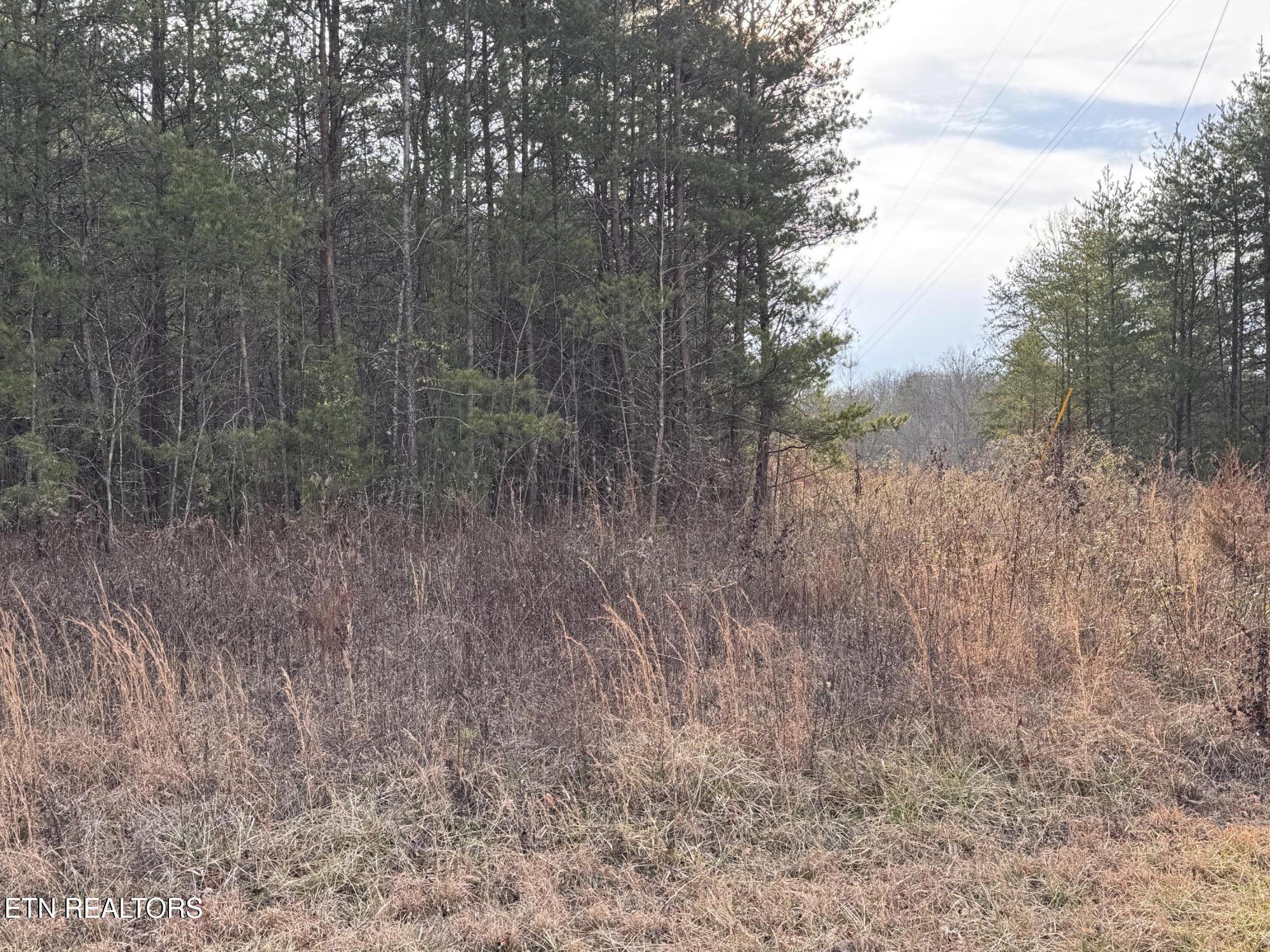 Hollow Lane Oneida, TN 37841 - Photo 9 of 30 IMG_7071