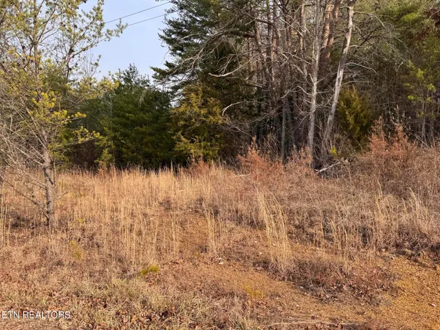 $85,000 | Hollow Lane, Oneida, TN 37841