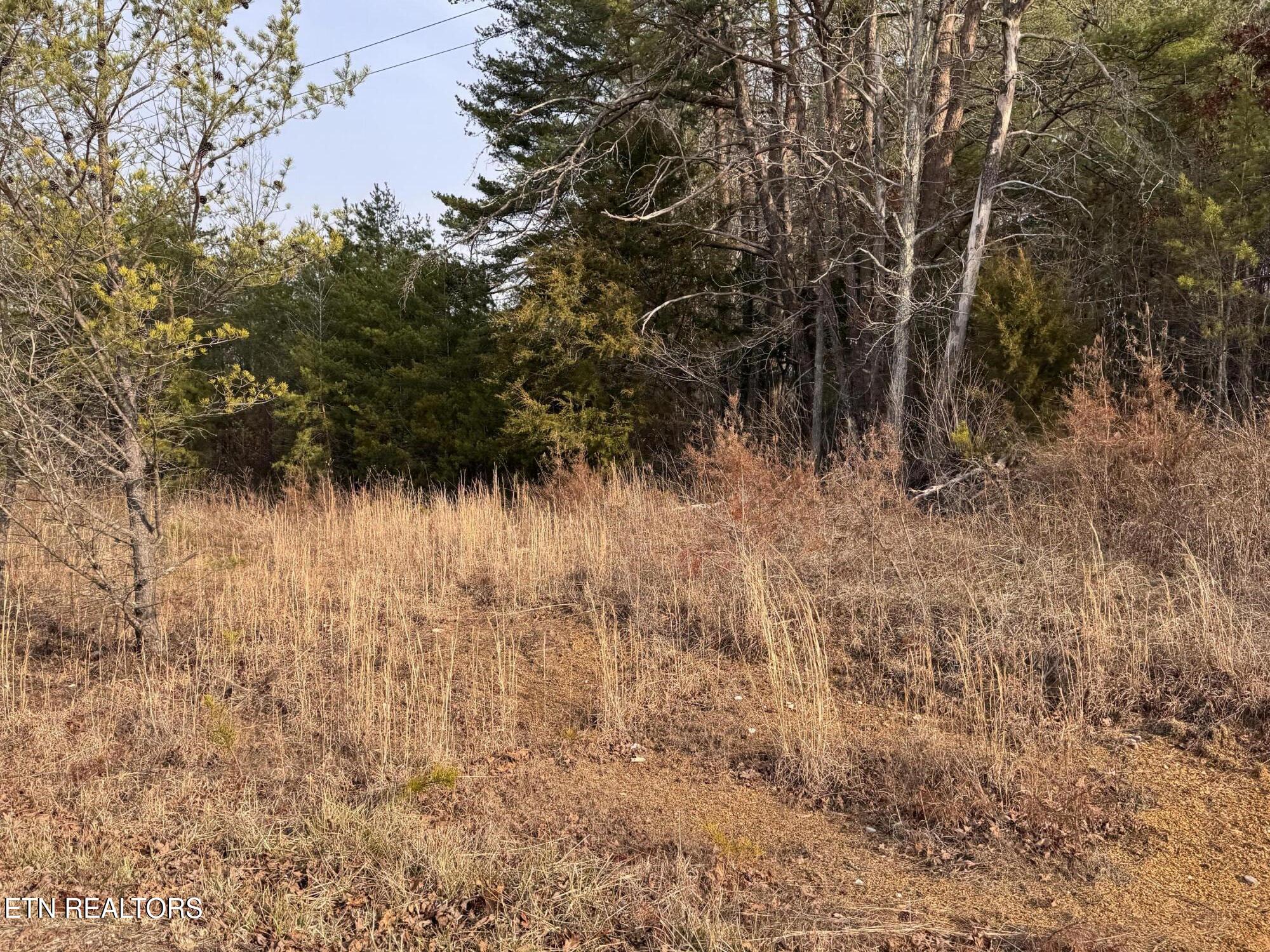 Hollow Lane Oneida, TN 37841 - Photo 10 of 30 IMG_7073