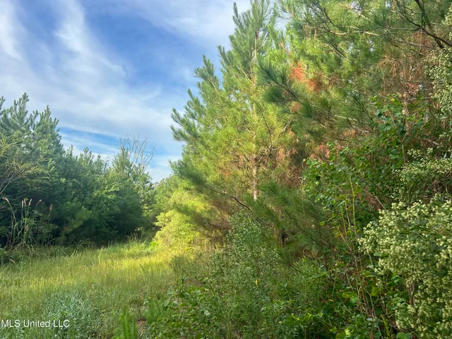 $71,100 | North River Road North, Summit, MS 39666