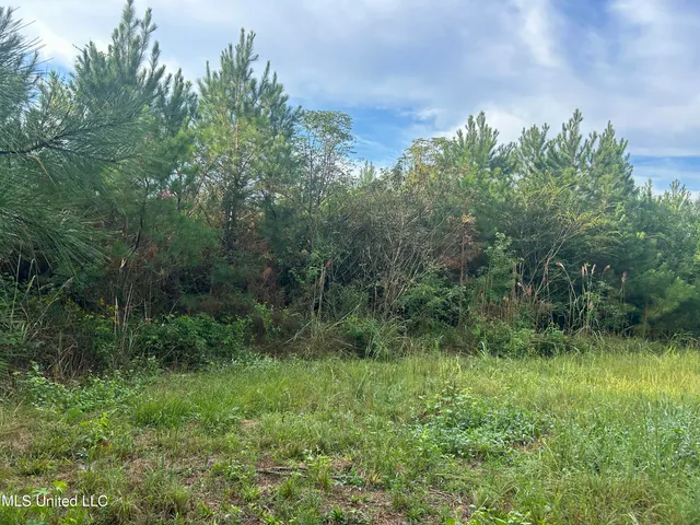 $71,100 | North River Road North, Summit, MS 39666