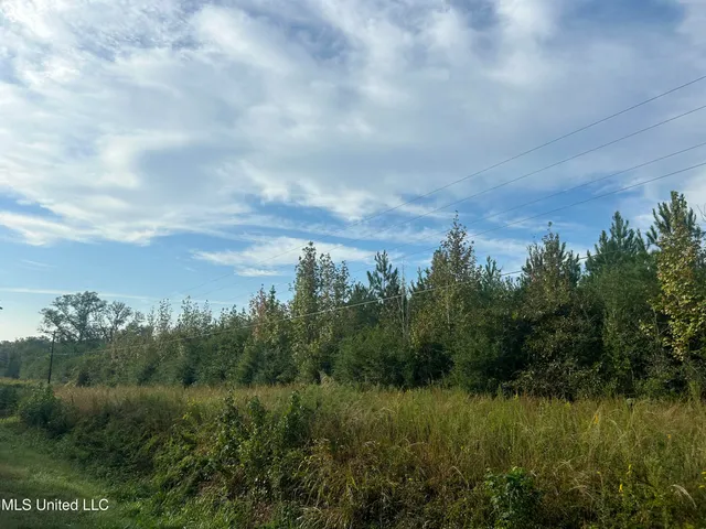 $71,100 | North River Road North, Summit, MS 39666