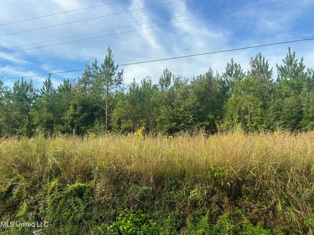 $71,100 | North River Road North, Summit, MS 39666