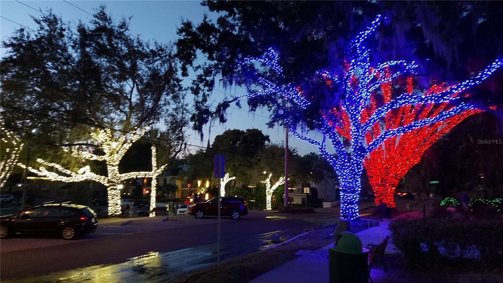 229 East 6th Avenue Mount Dora, FL 32757 - Photo 45 of 65
