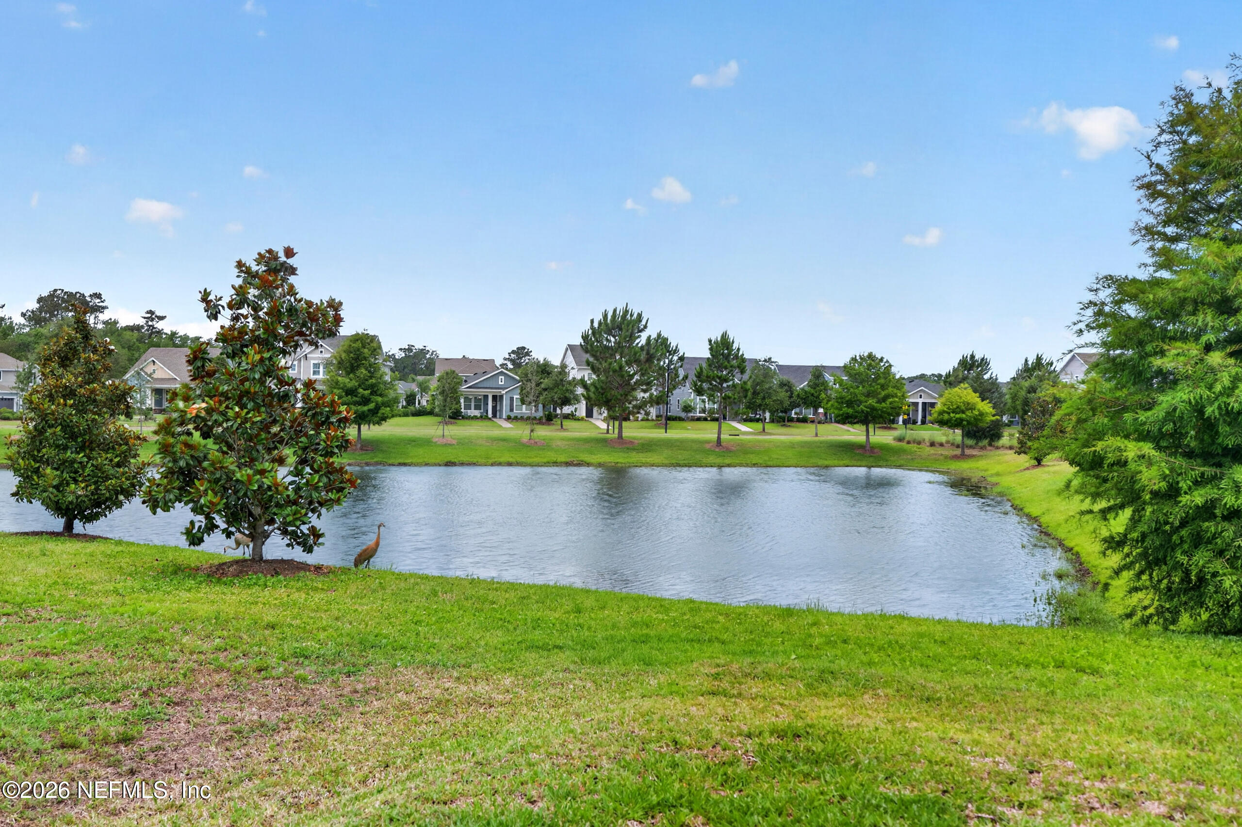 253 Ridgewind Drive St. Augustine, FL 32092 - Photo 50 of 125 Pond View