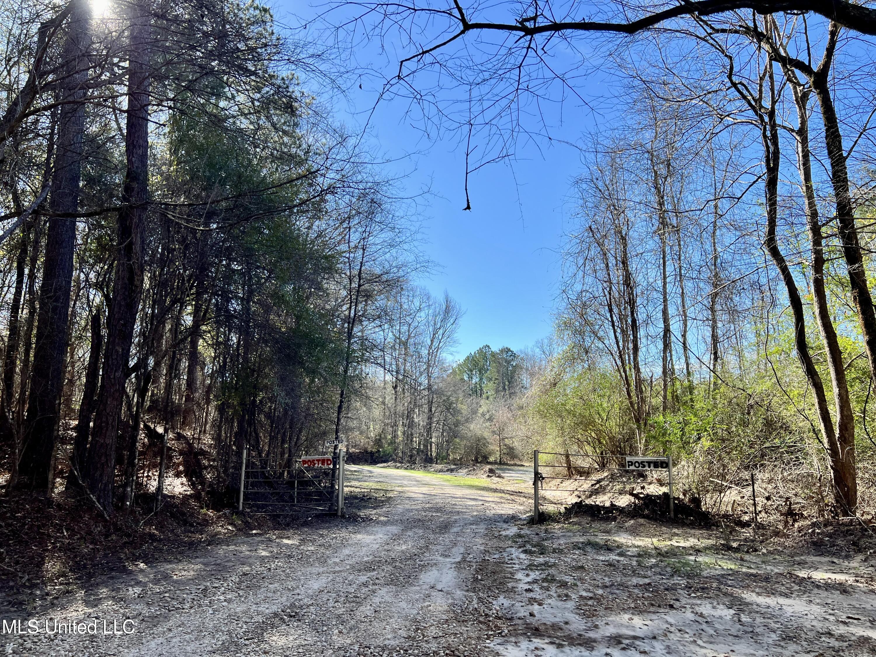 Crooked Creek Road Crosby, MS 39633 - Photo 3 of 4 IMG_0379