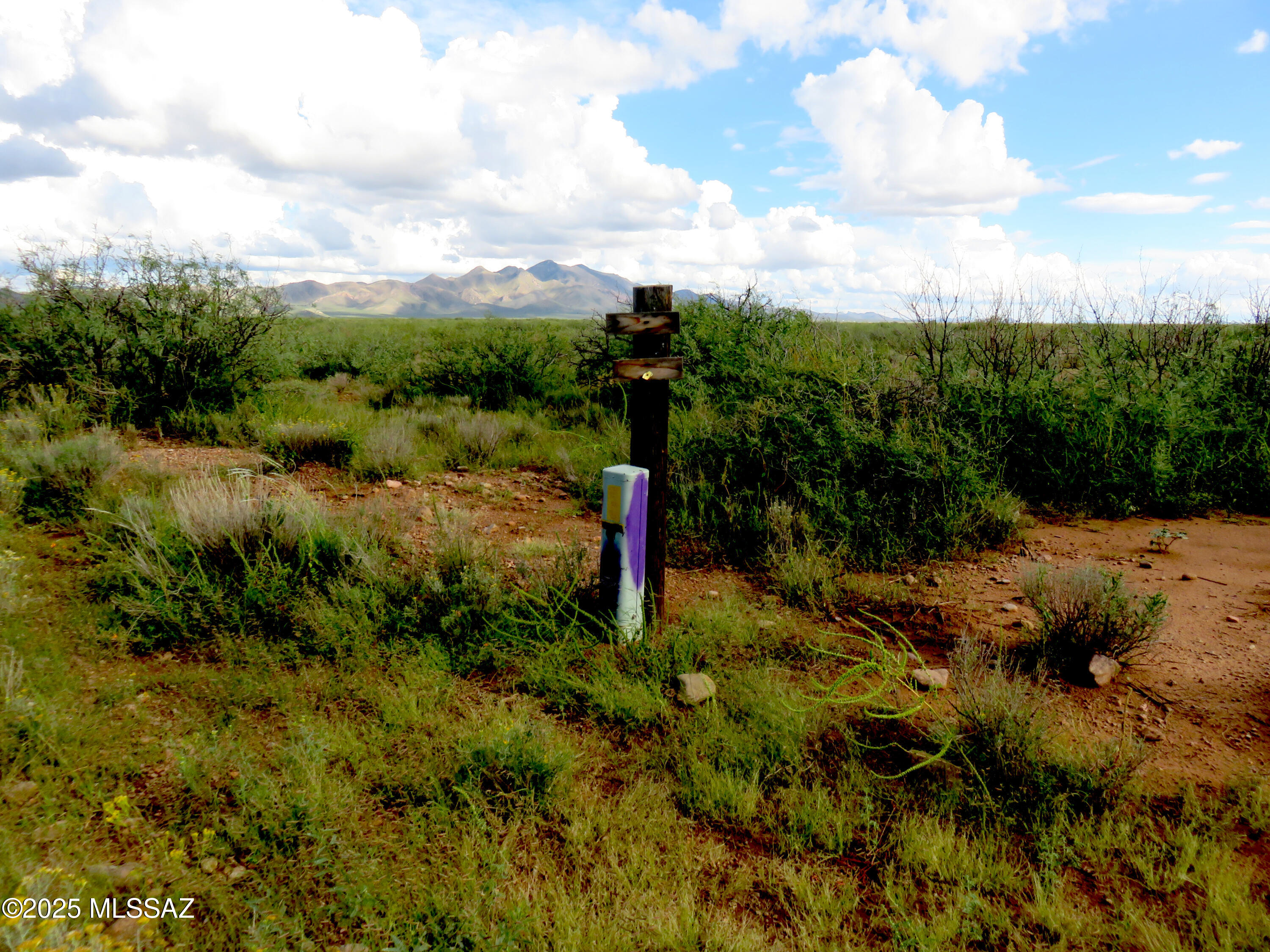 Tbd West Austin Henely Road, Unit 9 Elfrida, AZ 85610 - Photo 2 of 14