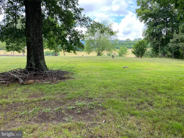 a view of a garden with a tree