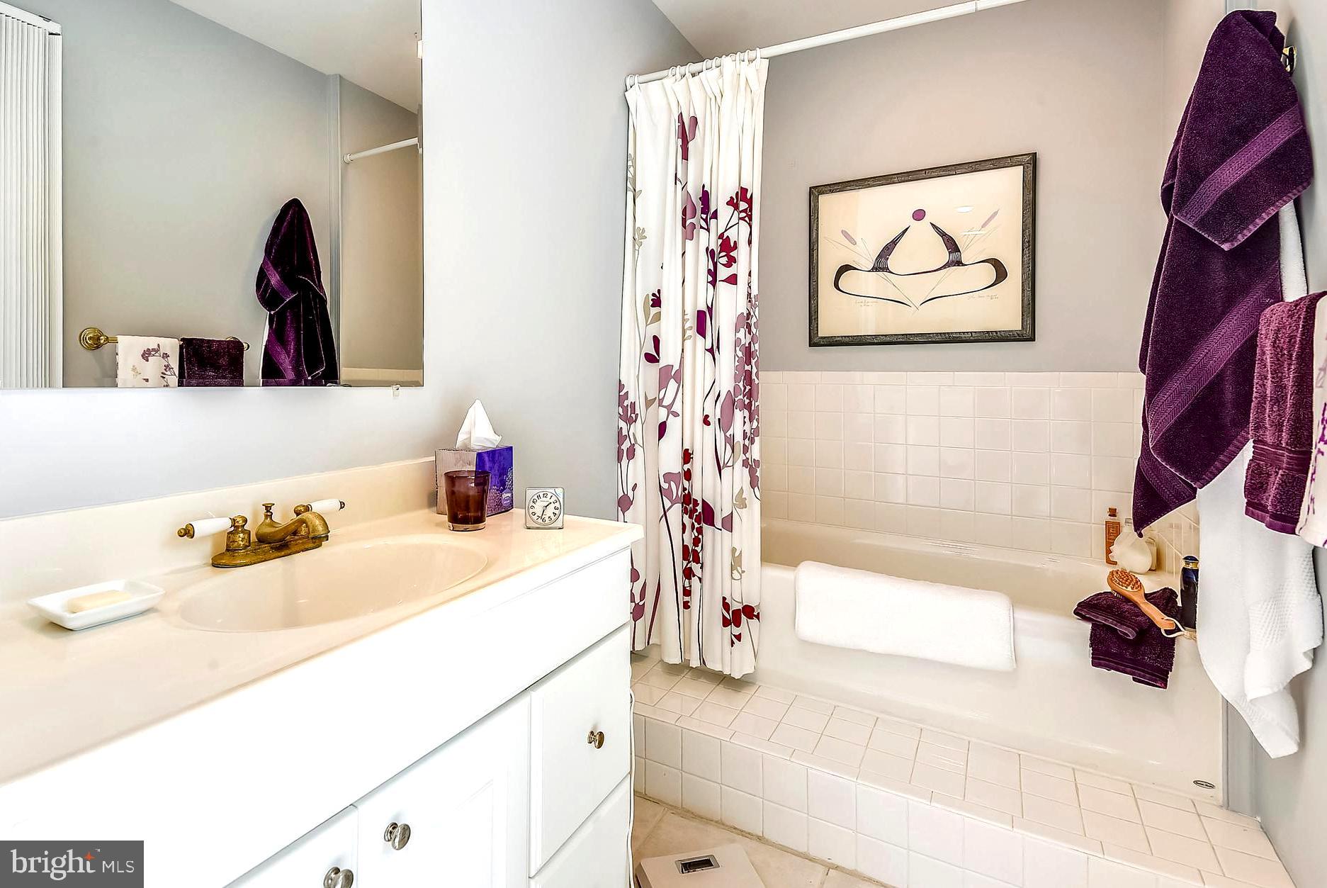 3700 Thomas Point Road Annapolis, MD 21403 - Photo 31 of 47 En Suite Master Bath with Tile-Stepped Tub