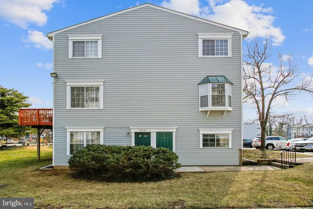 a view of a house with a yard plants and large tree