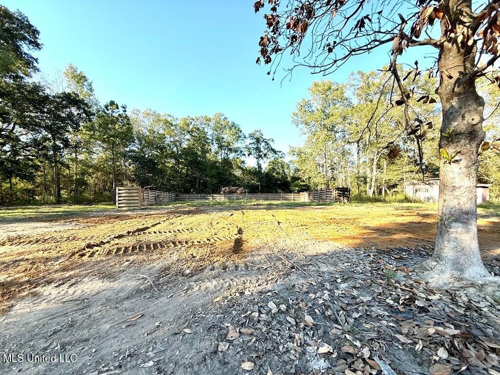126 Bill Terrell Road Carriere, MS 39426 - Photo 2 of 7 bt8