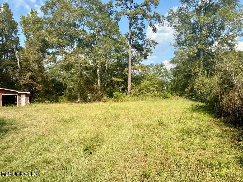 126 Bill Terrell Road Carriere, MS 39426 - Photo 7 of 7 bt2