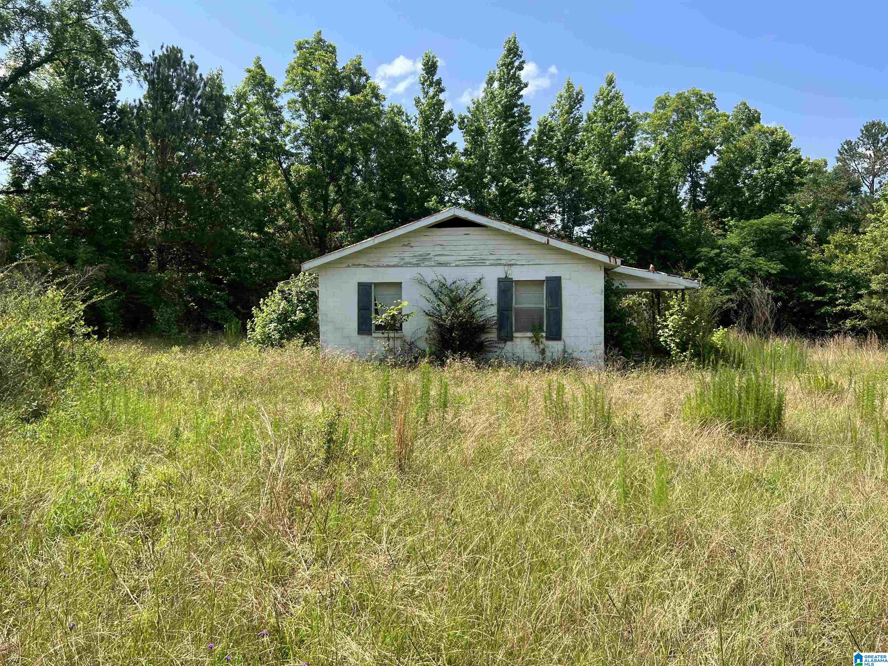 4795 Highway 239 Banks, AL 36005 - Photo 4 of 4
