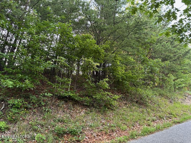 0 Top Road Sevierville, TN 37876 - Photo 2 of 9 IMG_3616_1782567952216