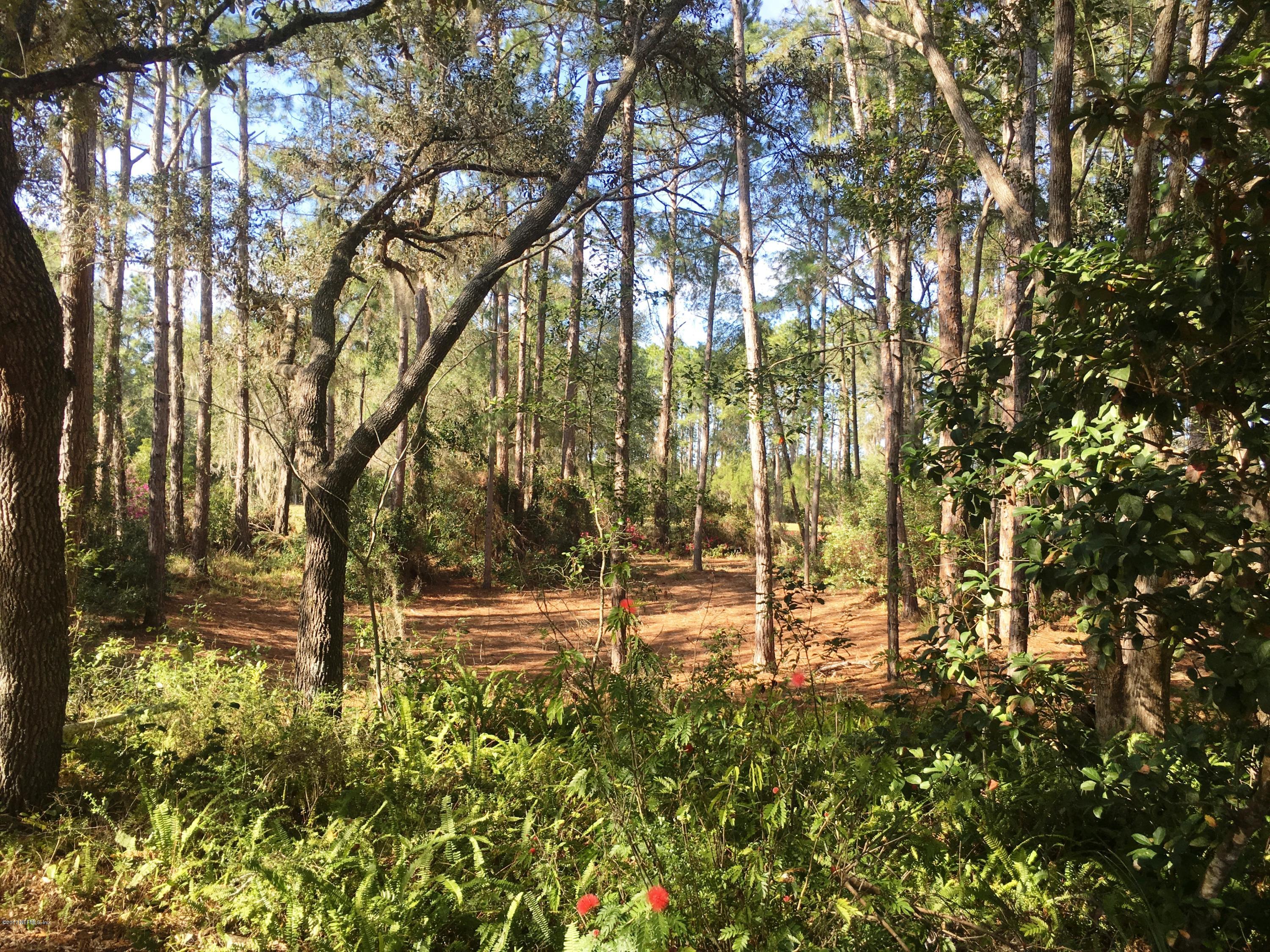 227 Clear Lake Road Crescent City, FL 32112 - Photo 32 of 45 land 3