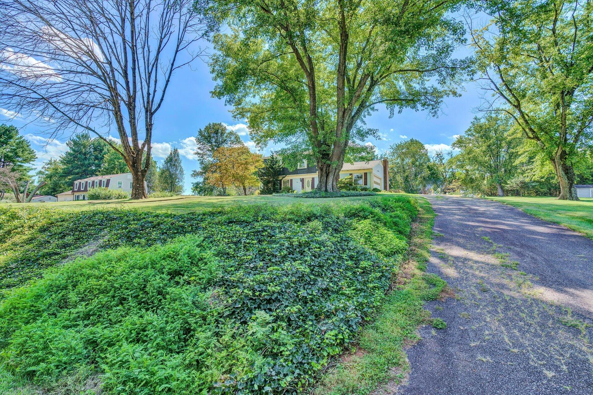805 Farmington Road Hardy, VA 24101 - Photo 3 of 31 03-090720210132