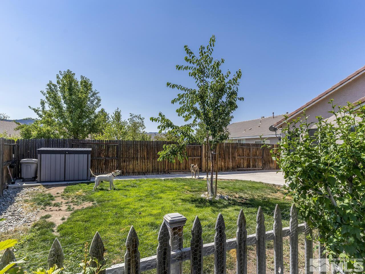 10150 Robilee Court Reno, NV 89521 - Photo 11 of 40 a view of a backyard with a swing