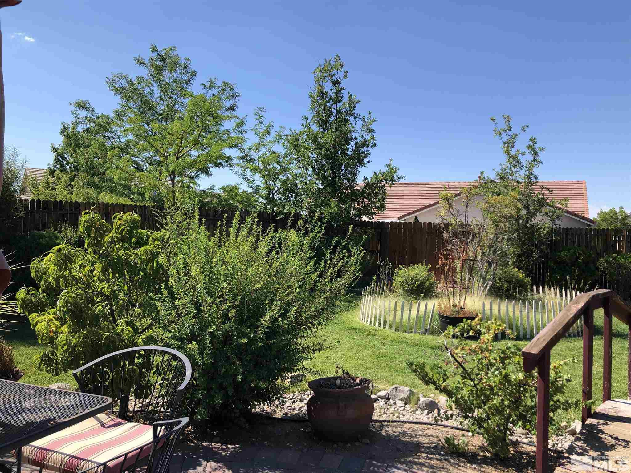 10150 Robilee Court Reno, NV 89521 - Photo 31 of 40 a backyard of a house with lots of green space