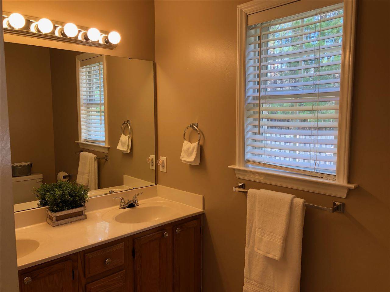 4208 Archibald Way Raleigh, NC 27616 - Photo 15 of 20 Master Bath