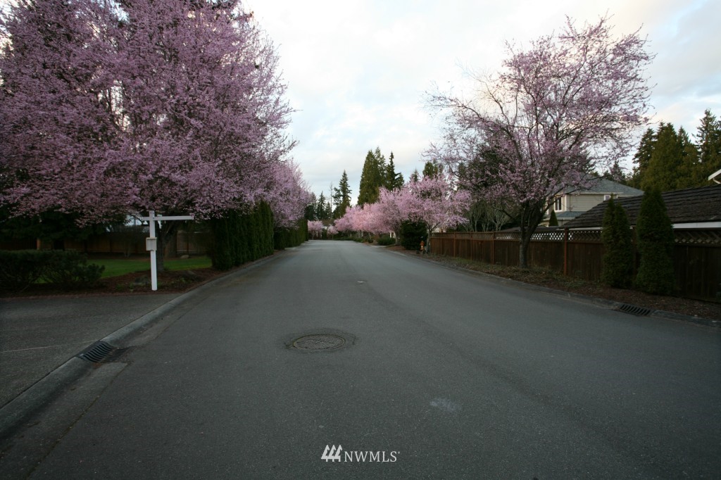 14505 144th Place Southeast Renton, WA 98059 - Photo 16 of 16