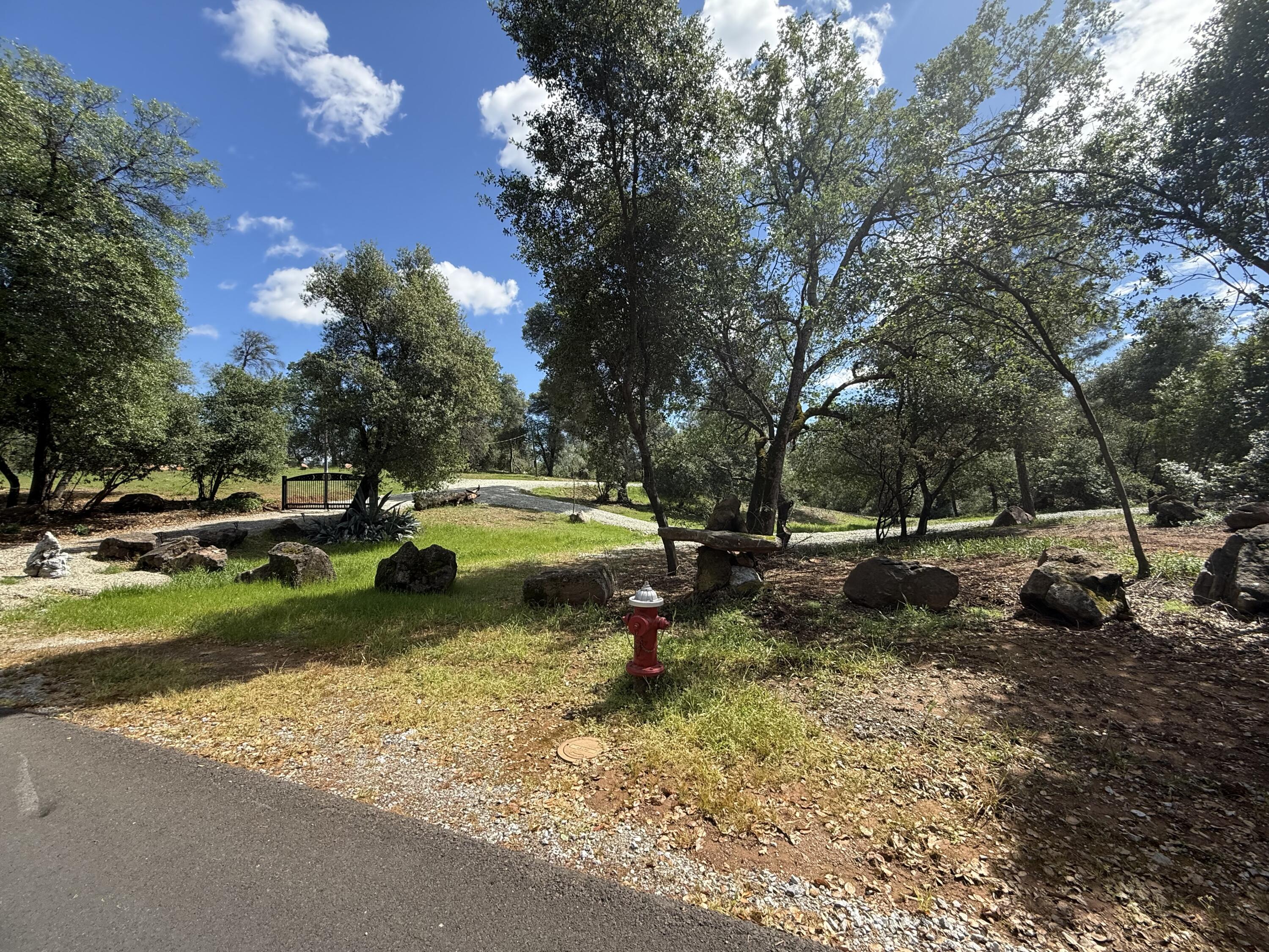 a view of a park with large trees