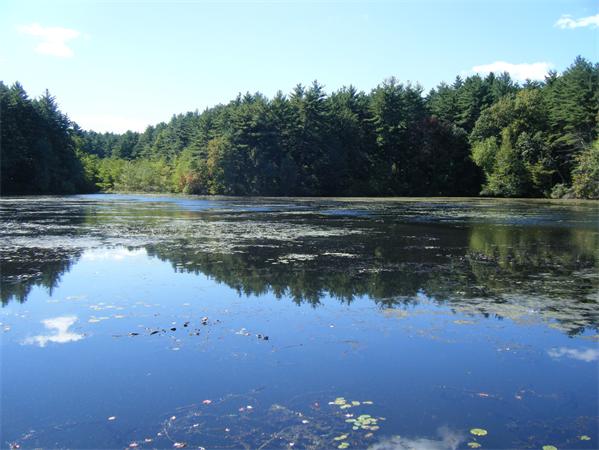 24 Old Mill Road Concord, MA 01742 - Photo 1 of 1