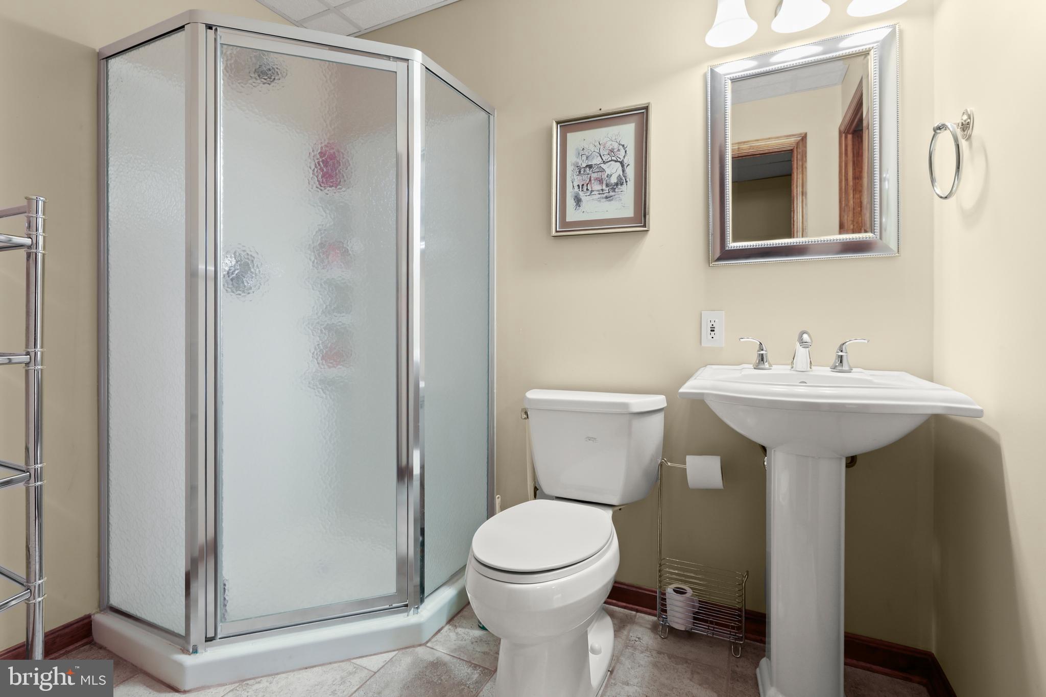 5602 Patterson Road Baldwin, MD 21013 - Photo 84 of 88 LL Bathroom #4 with shower and pedestal sink
