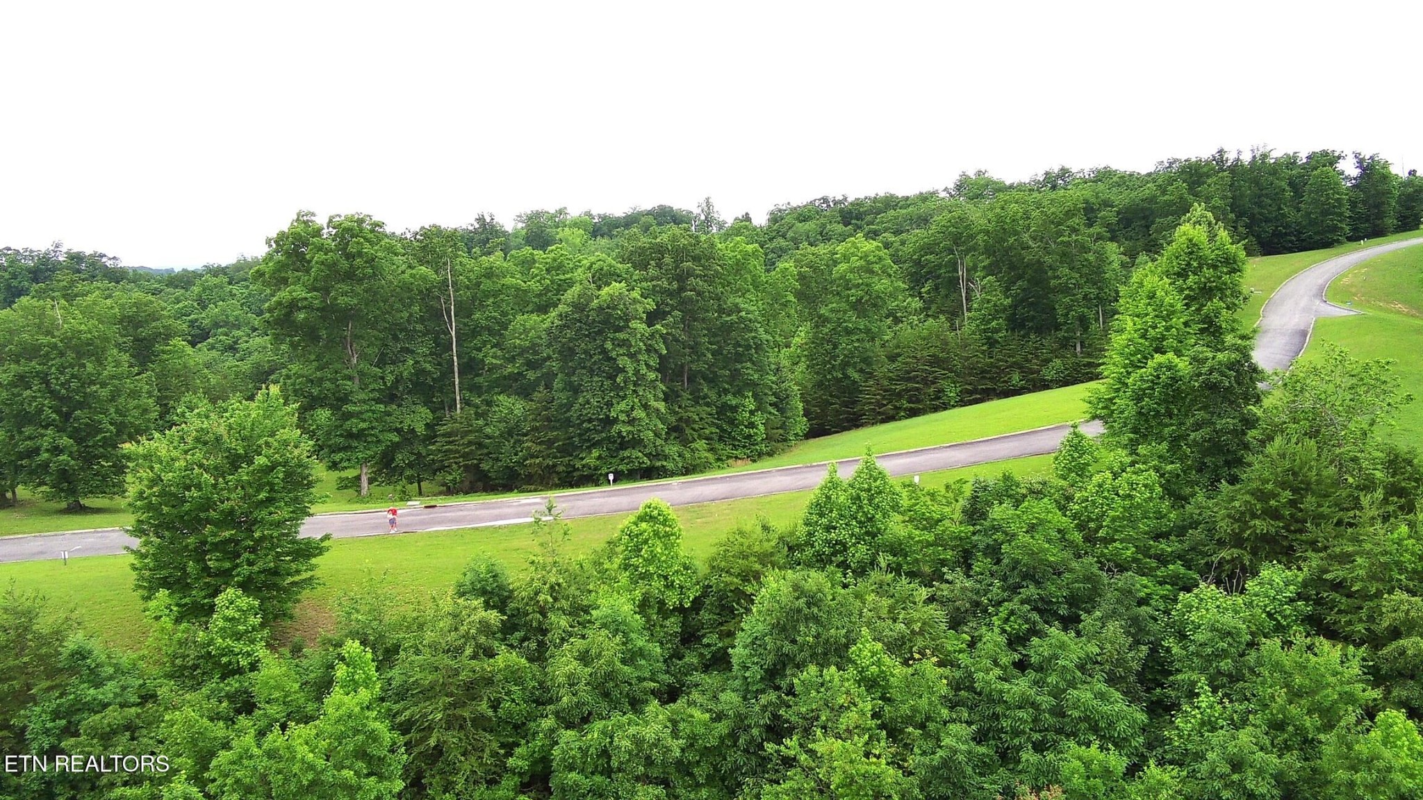 295 River Run Trail Spring City, TN 37381 - Photo 16 of 26