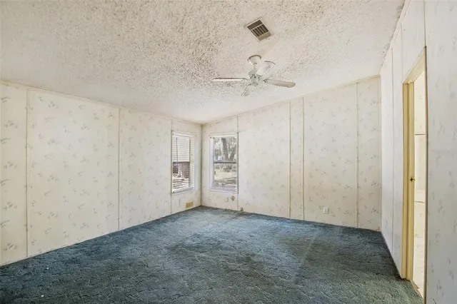 a view of a field with a tree