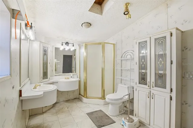 a view of a lush green forest